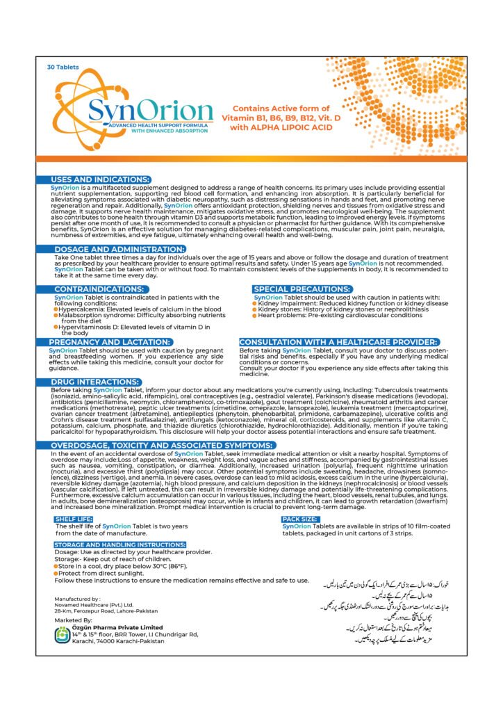 Synorion datasheet page 2